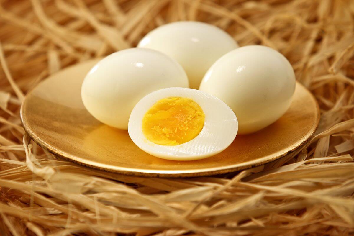Katı Yumurta